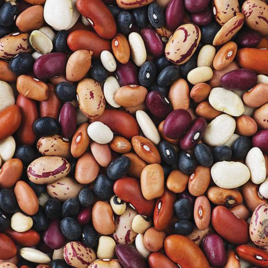 The Mighty Bean - a nutritional superfood for hormone, gut, and metabolic health!